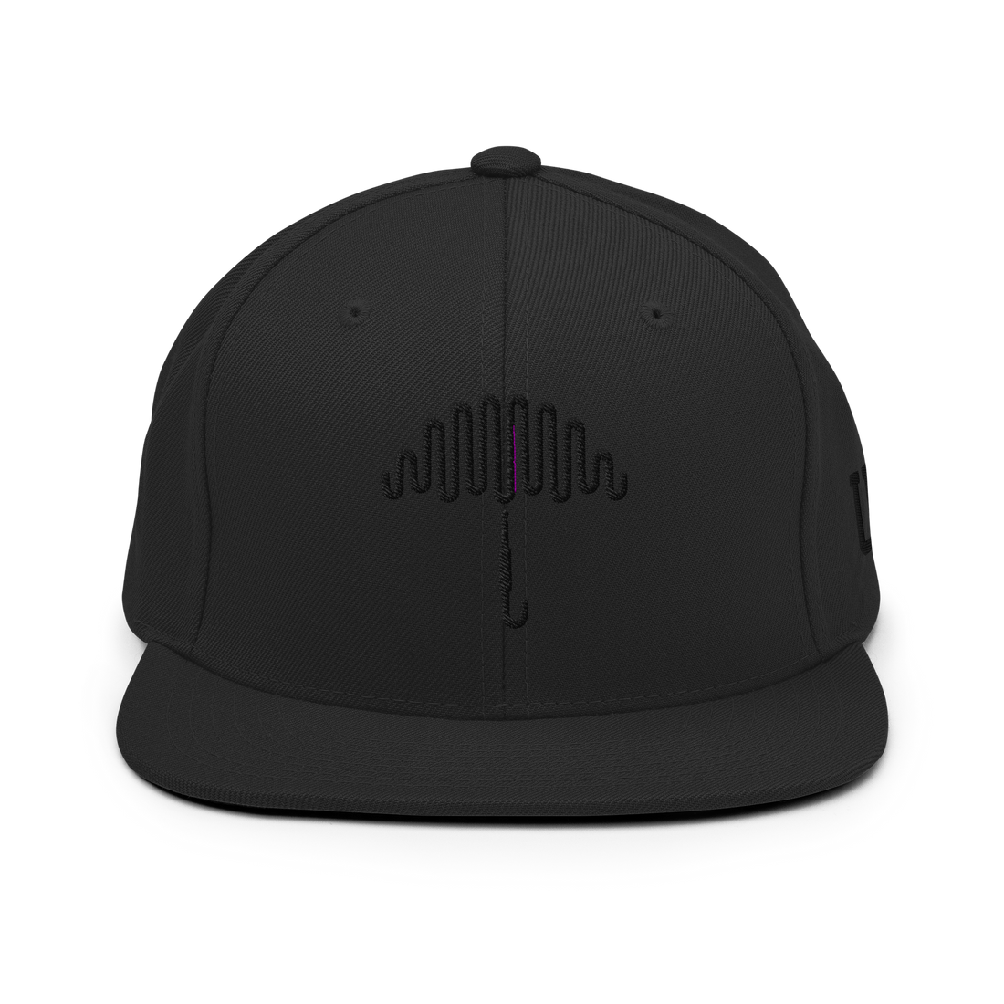 Monochromatic Midnight Snapback