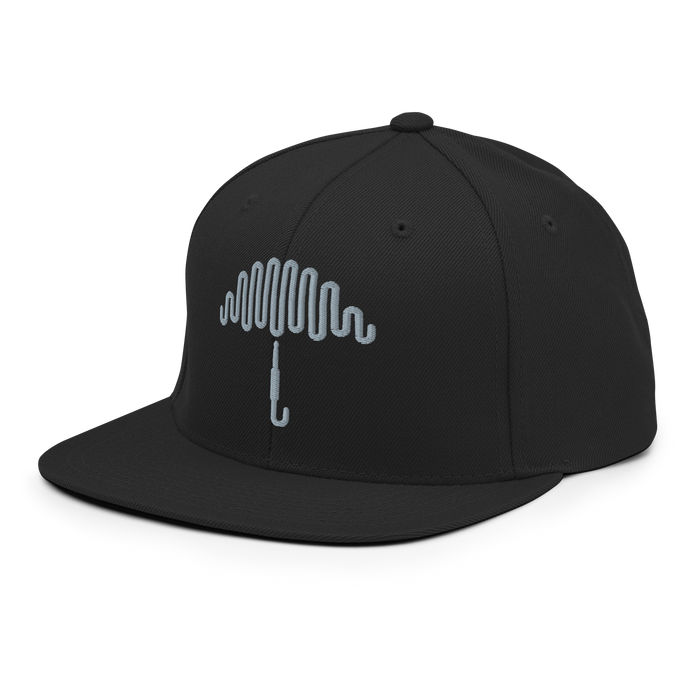 Grey Matter Black Snapback Hat