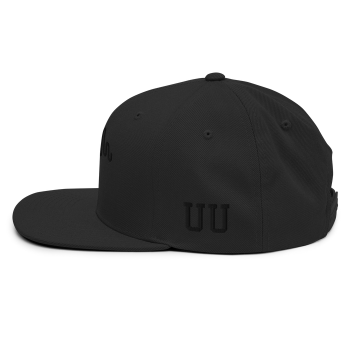 Monochromatic Midnight Snapback