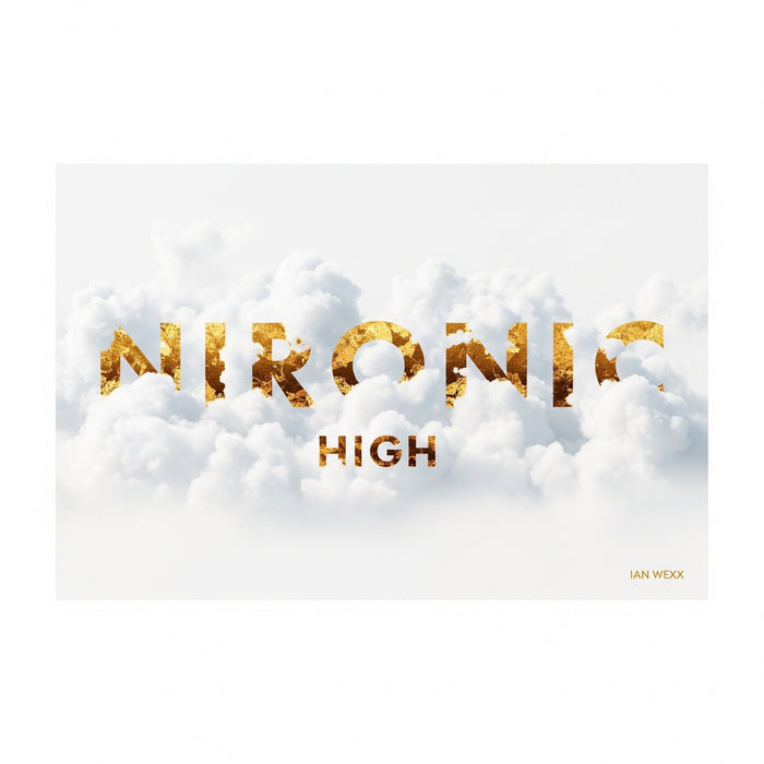 High by Nironic (Digital Single)
