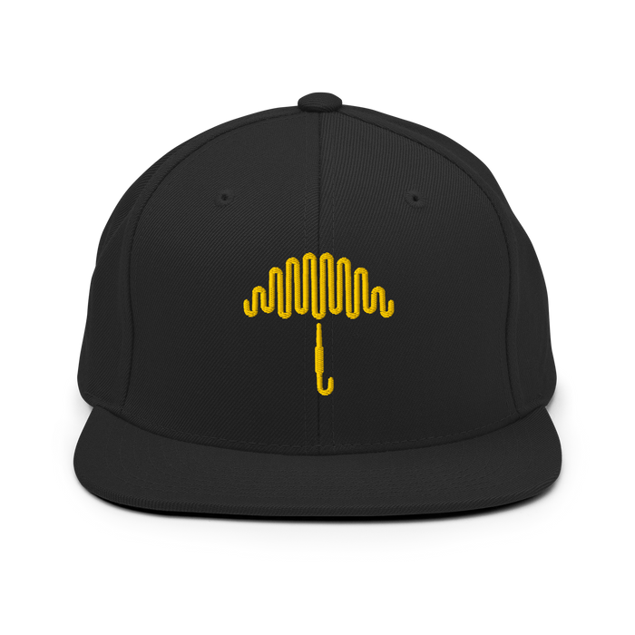 36 Snapback