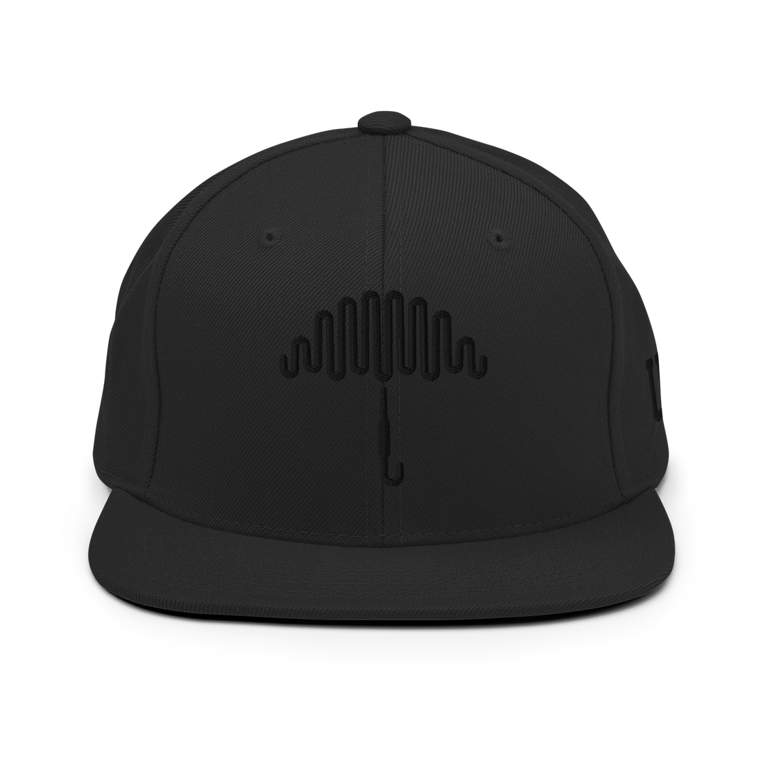 Monochromatic Midnight Snapback