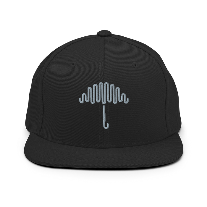 Grey Matter Black Snapback Hat