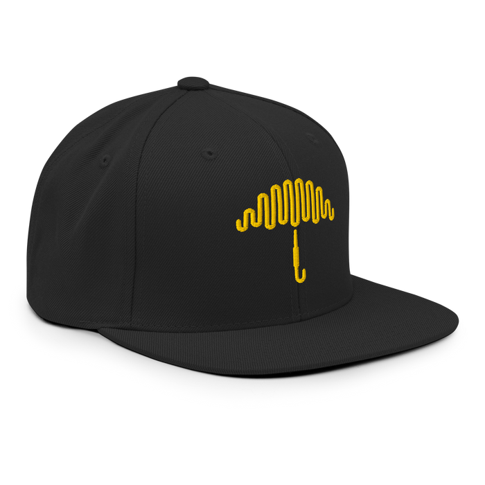 36 Snapback