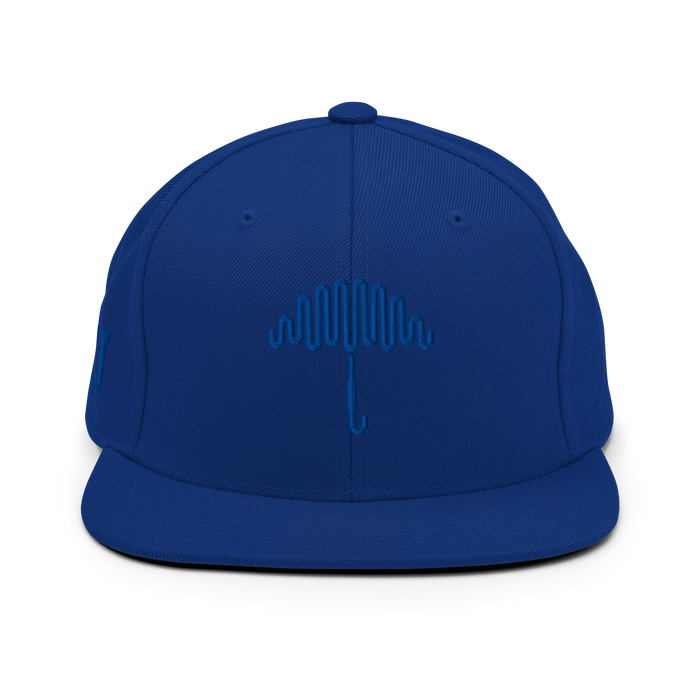 Oceanic Capacitor Blue Snapback