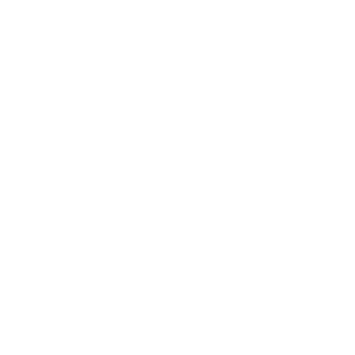 Frequent Flyer Society