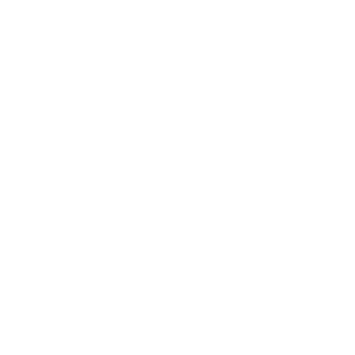 Rajnii